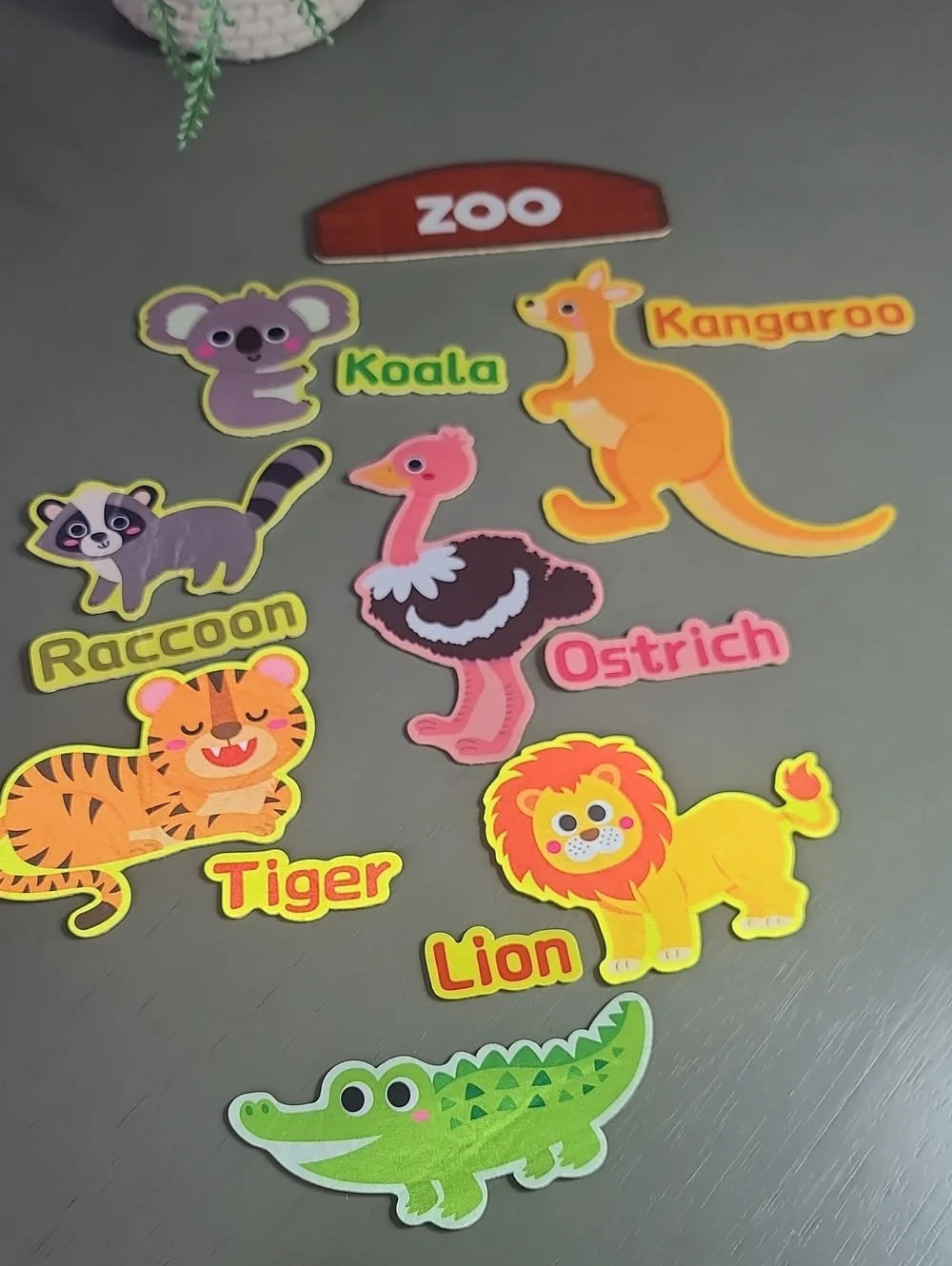 Zoo Animal With Name Velcor Set Of 19 Colorful Animals